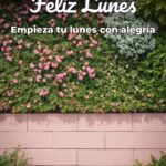 feliz lunes empieza tu lunes con alegría