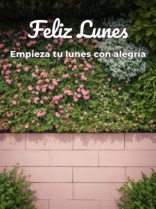 Buenos días de lunes para Facebook gratis para celular