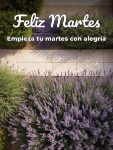 Buenos días de martes para descargar gratis