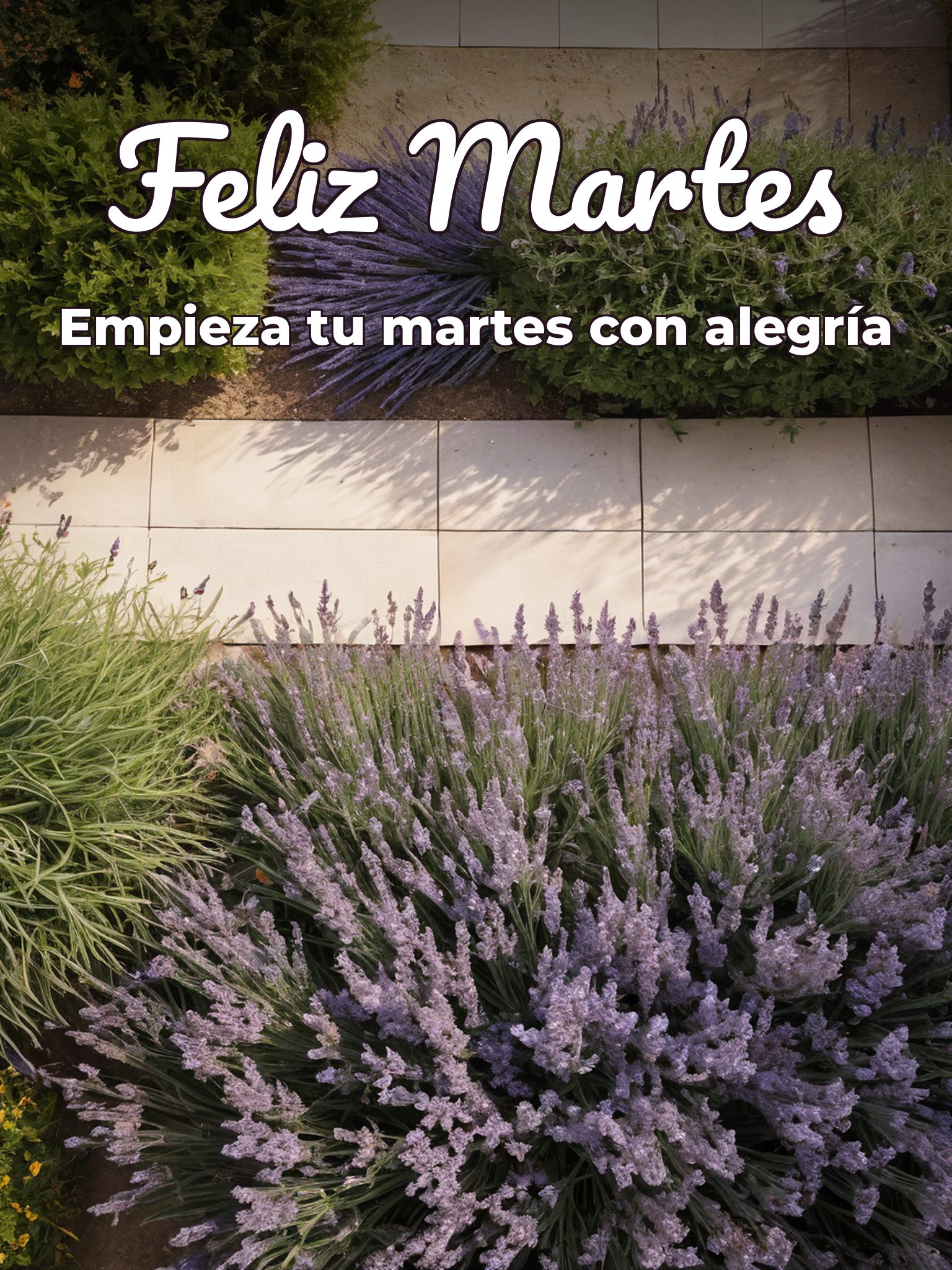 Buenos días de martes para descargar gratis