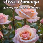 feliz domingo que hoy sea un gran domingo