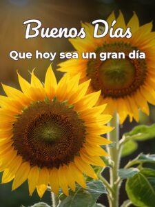 Buenos días en frases