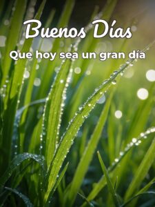 Buenos días en frases para celular