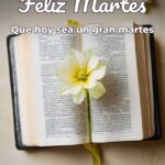 feliz martes que hoy sea un gran martes
