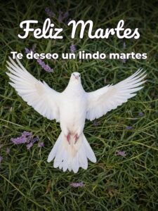 Buenos días feliz martes Dios te bendiga para descargar gratis
