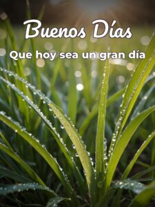 Buenos días fotos y frases