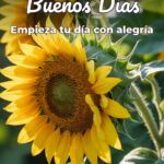 buenos días empieza tu día con alegría