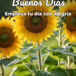 buenos días empieza tu día con alegría