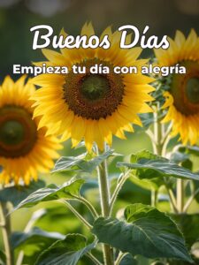 Buenos días hermosa para Facebook