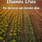 buenos días te deseo un lindo día