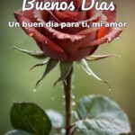 buenos días un buen día para ti, mi amor