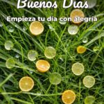 buenos días empieza tu día con alegría