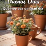buenos días que hoy sea un gran día
