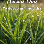 buenos días te deseo un lindo día