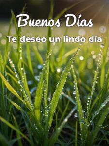 Buenos días lindo día para celular
