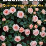 buenos días que hoy sea un gran día