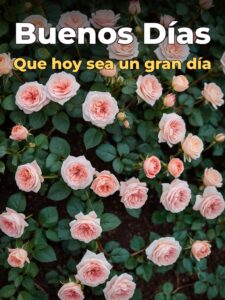 Buenos días lindo día para descargar