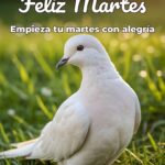feliz martes empieza tu martes con alegría