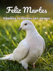 Buenos días lindo martes bendiciones para celular