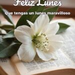 feliz lunes que tengas un lunes maravilloso
