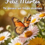 feliz martes te deseo un lindo martes