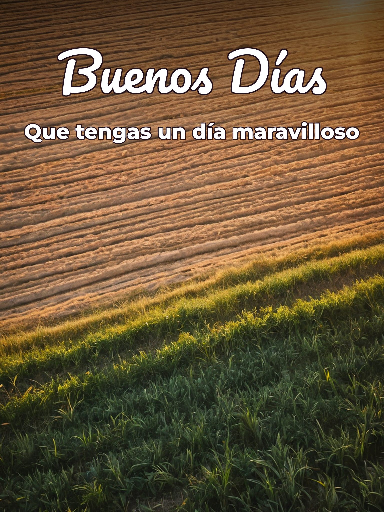 Buenos días mensajes bonitos para descargar