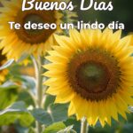buenos días te deseo un lindo día