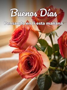 Buenos días mi amor en frases para WhatsApp