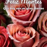 feliz martes que hoy sea un gran martes