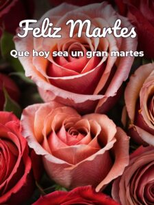 Buenos días mi amor feliz martes