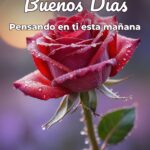 buenos días pensando en ti esta mañana