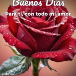 buenos días para ti, con todo mi amor