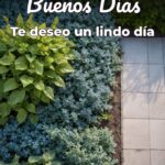 buenos días te deseo un lindo día
