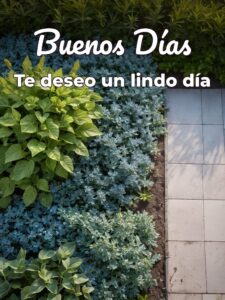 Buenos días mi princesa