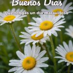 buenos días que tengas un día maravilloso