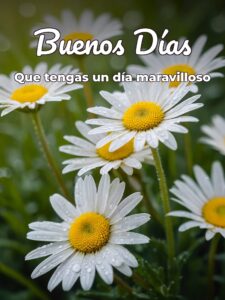 Buenos días mi princesa frases para celular