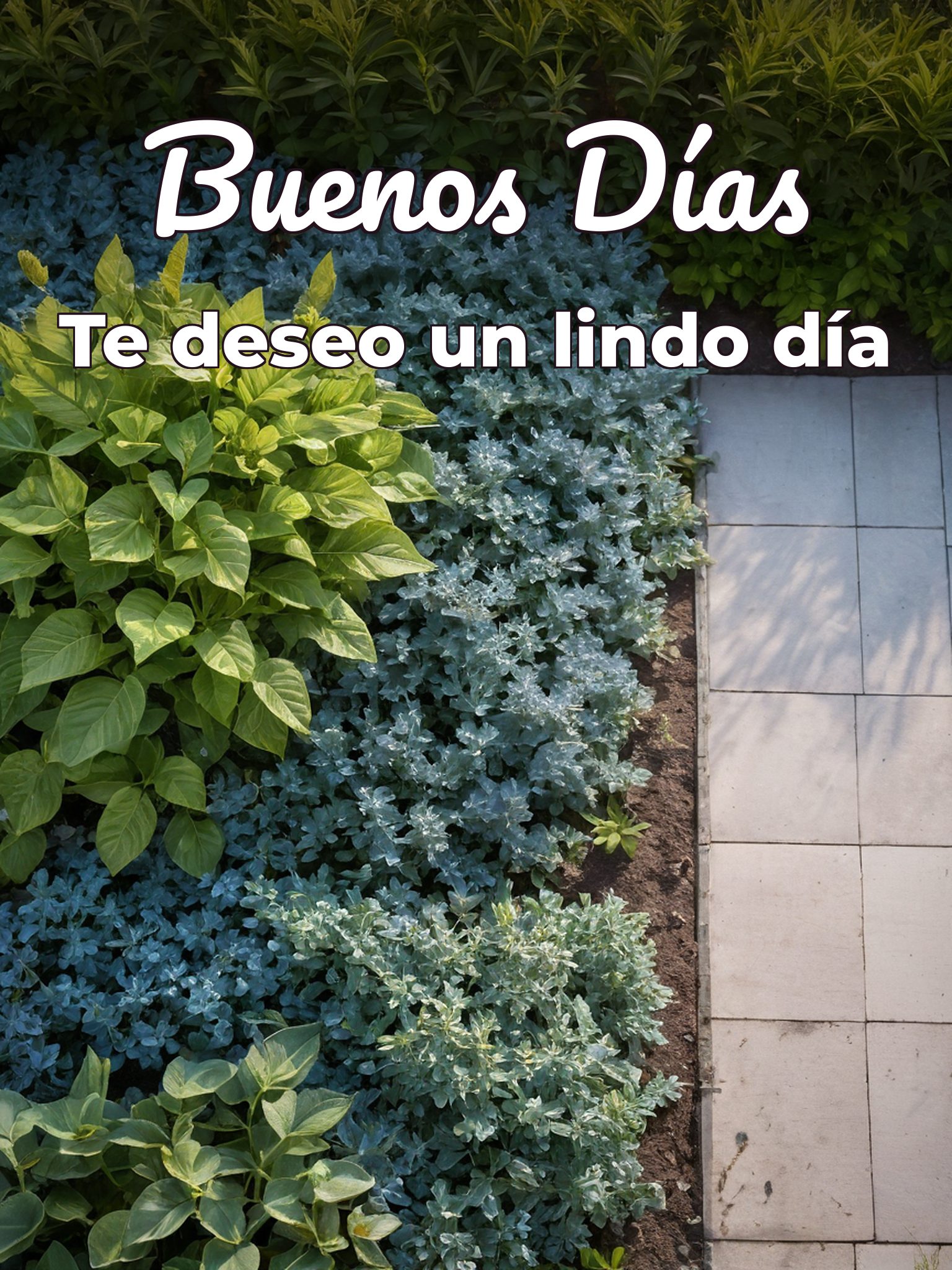 Buenos días mi princesa