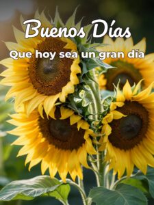 Buenos días mi vida