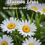 buenos días que tengas un día maravilloso
