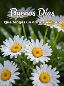 Buenos días mi vida frases para Facebook