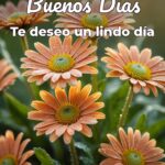 buenos días te deseo un lindo día