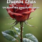 buenos días un buen día para ti, mi amor