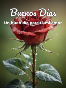 Buenos días para enamorar para WhatsApp