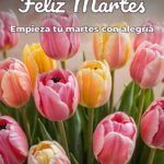 feliz martes empieza tu martes con alegría