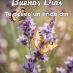 buenos días te deseo un lindo día