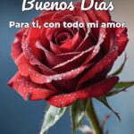 buenos días para ti, con todo mi amor