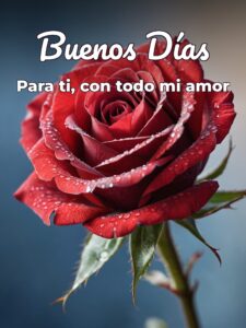 Buenos días para la mujer más hermosa para mi amor