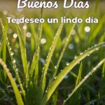 buenos días te deseo un lindo día