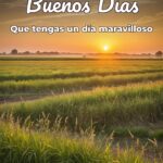 buenos días que tengas un día maravilloso