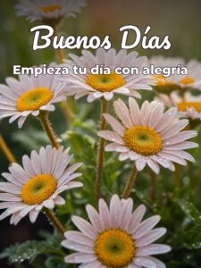 Buenos días para tu pareja para Facebook